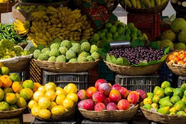 fruit export fruit export