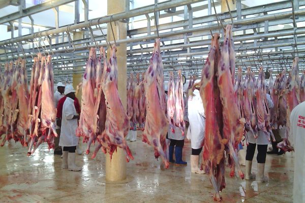meat export meat export
